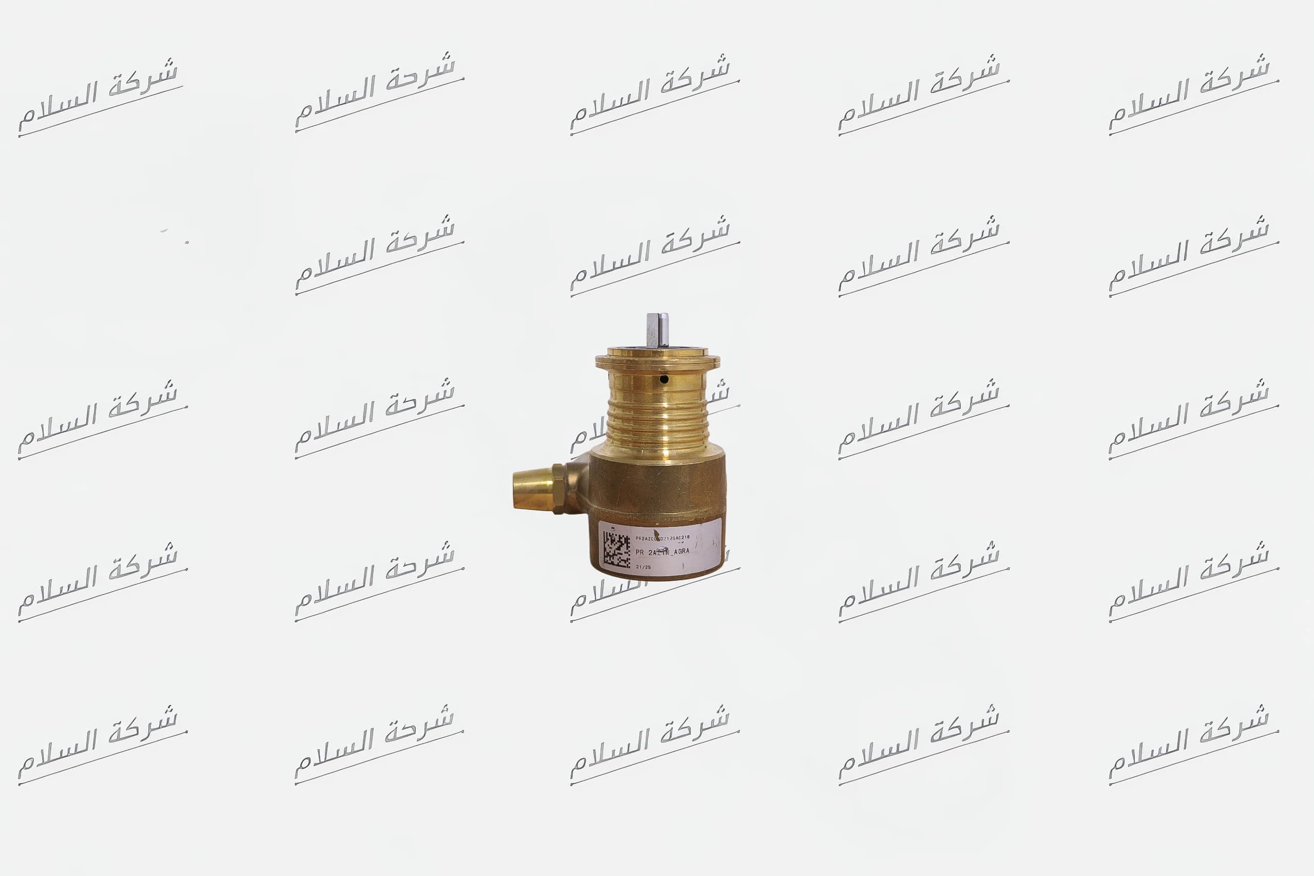 مضخة اسوارة